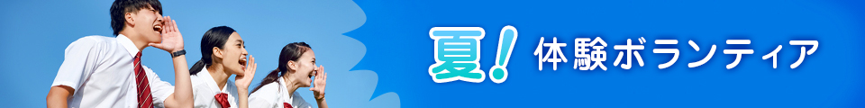 夏!体験ボランティア